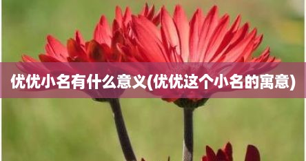 优优小名有什么意义(优优这个小名的寓意)
