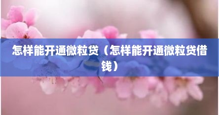 怎样能开通微粒贷（怎样能开通微粒贷借钱）
