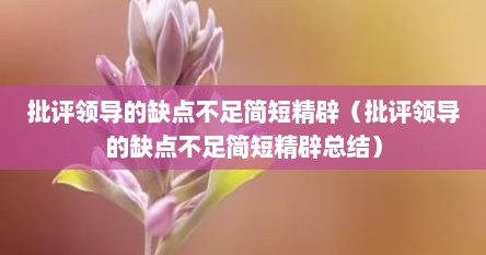 批评领导的缺点不足简短精辟（批评领导的缺点不足简短精辟总结）