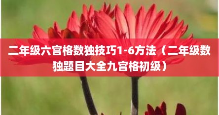 二年级六宫格数独技巧1-6方法（二年级数独题目大全九宫格初级）