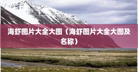 海虾图片大全大图（海虾图片大全大图及名称）