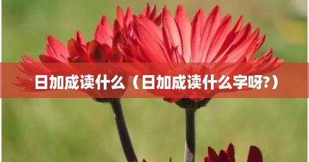 日加成读什么（日加成读什么字呀?）
