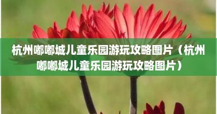 杭州嘟嘟城儿童乐园游玩攻略图片（杭州嘟嘟城儿童乐园游玩攻略图片）