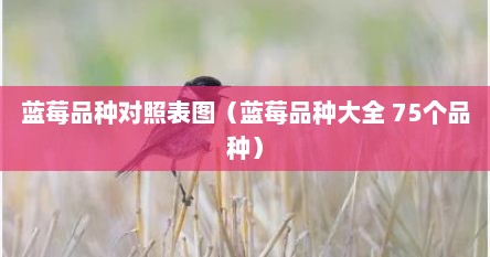 蓝莓品种对照表图（蓝莓品种大全 75个品种）