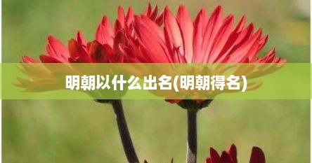 明朝以什么出名(明朝得名)