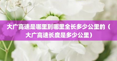 大广高速是哪里到哪里全长多少公里的（大广高速长度是多少公里）