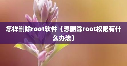 怎样删除root软件（想删除root权限有什么办法）