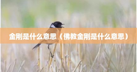 金刚是什么意思（佛教金刚是什么意思）