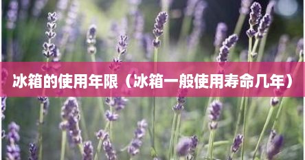 冰箱的使用年限（冰箱一般使用寿命几年）