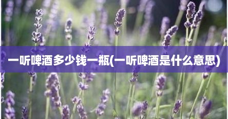 一听啤酒多少钱一瓶(一听啤酒是什么意思)