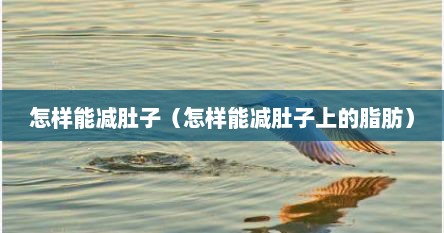 怎样能减肚子（怎样能减肚子上的脂肪）