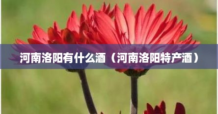 河南洛阳特产果酒（河南洛阳特产饮料）