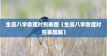 生辰八字命理对照表图（生辰八字命理对照表图解）