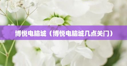 博悦电脑城（博悦电脑城几点关门）