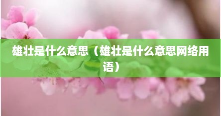 雄壮是什么意思（雄壮是什么意思网络用语）