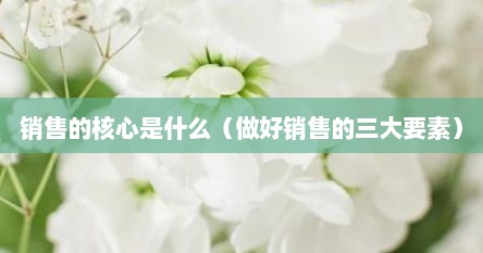 销售的核心是什么（做好销售的三大要素）