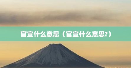 官宣什么意思（官宣什么意思?）