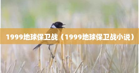 1999地球保卫战（1999地球保卫战小说）