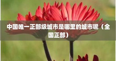 中国唯一正部级城市是哪里的城市呢（全国正部）