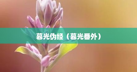 暮光伪经（暮光番外）