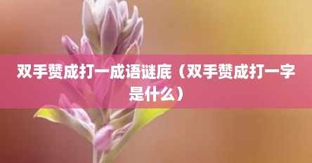 双手赞成打一成语谜底（双手赞成打一字是什么）