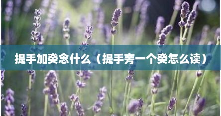 提手加癸念什么（提手旁一个癸怎么读）