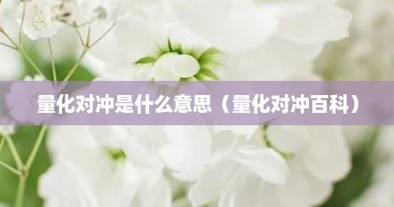量化对冲是什么意思（量化对冲百科）