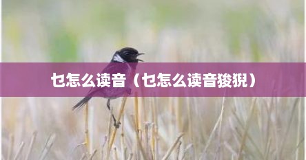 乜怎么读音（乜怎么读音狻猊）