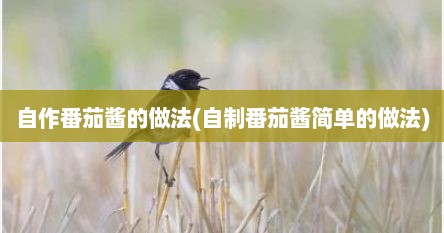 自作番茄酱的做法(自制番茄酱简单的做法)