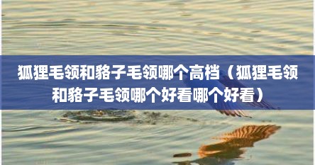 狐狸毛领和貉子毛领哪个高档（狐狸毛领和貉子毛领哪个好看哪个好看）