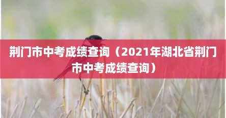 荆门市中考成绩查询（2021年湖北省荆门市中考成绩查询）
