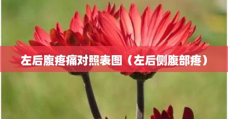 左后腹疼痛对照表图（左后侧腹部疼）
