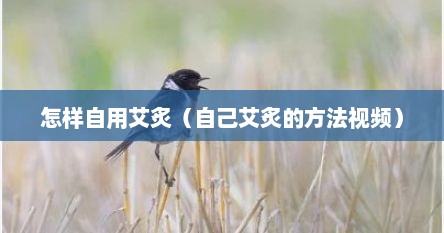 怎样自用艾炙（自己艾炙的方法视频）