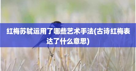 红梅苏轼运用了哪些艺术手法(古诗红梅表达了什么意思)