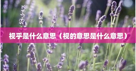 视乎是什么意思（视的意思是什么意思）