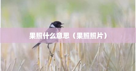 果照什么意思（果照照片）