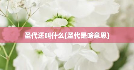 圣代还叫什么(圣代是啥意思)