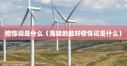 修饰词是什么（海啸的最好修饰词是什么）