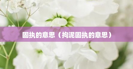 固执拘泥,不会变通（固执拘谨）