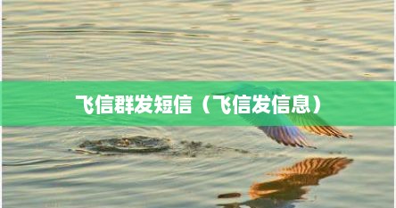 飞信群发怎么使用（讯飞短信群发）