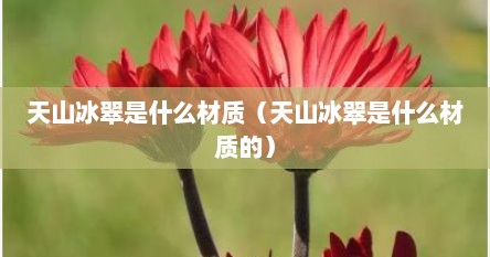 天山冰翠是什么材质（天山冰翠是什么材质的）