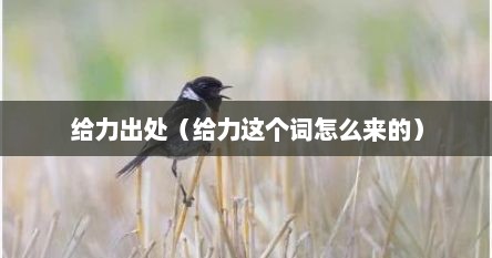 给力出处（给力这个词怎么来的）