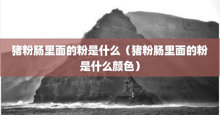 猪粉肠里面的粉是什么（猪粉肠里面的粉是什么颜色）