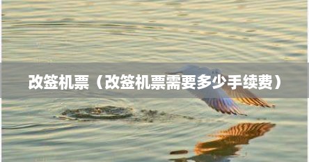 改签机票（改签机票需要多少手续费）