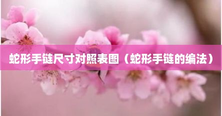 蛇形手链尺寸对照表图（蛇形手链的编法）