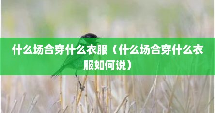 什么场合穿什么衣服（什么场合穿什么衣服如何说）