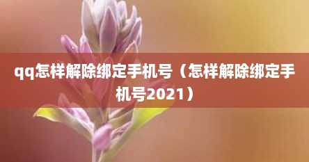 qq怎样解除绑定手机号（怎样解除绑定手机号2021）