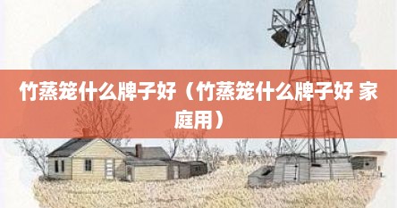 竹蒸笼什么牌子好（竹蒸笼什么牌子好 家庭用）