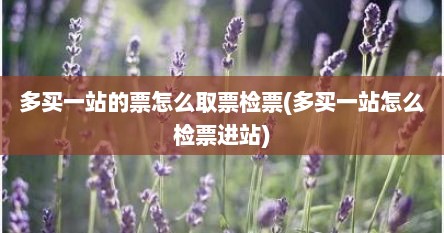 多买一站的票怎么取票检票(多买一站怎么检票进站)