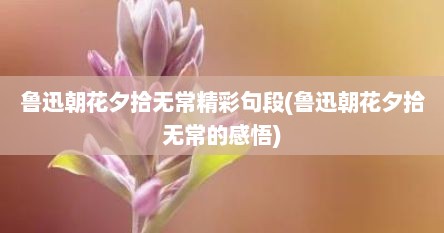 鲁迅朝花夕拾无常精彩句段(鲁迅朝花夕拾无常的感悟)